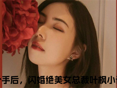 分手后，闪婚绝美女总裁叶枫（分手后，闪婚绝美女总裁叶枫全文）全文免费阅读无弹窗大结局_（分手后，闪婚绝美女总裁叶枫）分手后，闪婚绝美女总裁叶枫全文小说最新章节列表笔趣阁（分手后，闪婚绝美女总裁叶枫全文）