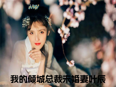 我的倾城总裁未婚妻叶辰(我的倾城总裁未婚妻叶辰)最新章节在线阅读-我的倾城总裁未婚妻叶辰已完结全集大结局小说