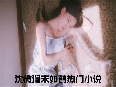 《沈微澜宋如鹤》沈微澜宋如鹤无弹窗阅读_沈微澜宋如鹤最新章节列表_笔趣阁