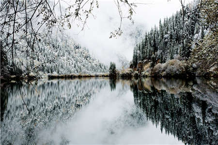 《致命公寓》赵雪吴小夏免费在线阅读