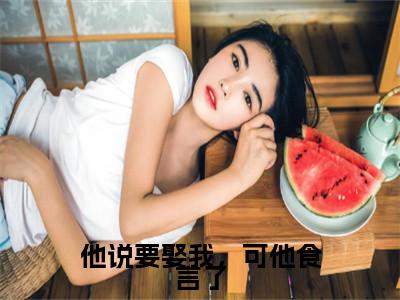 (他说要娶我，可他食言了)全集小说完整版大结局_他说要娶我，可他食言了全文免费无弹窗最新章节列表_笔趣阁(祁允哲顾韵清全文免费)