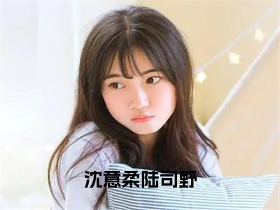 陆司野沈意柔（沈意柔陆司野）全文免费阅读_沈意柔陆司野最新章节小说免费阅读_笔趣阁陆司野沈意柔