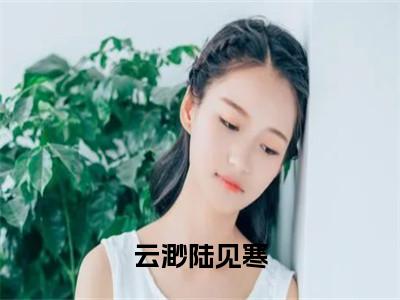 云渺陆见寒全文（陆见寒云渺）全文免费阅读无弹窗大结局_（陆见寒云渺）云渺陆见寒最新章节列表笔趣阁（云渺陆见寒）