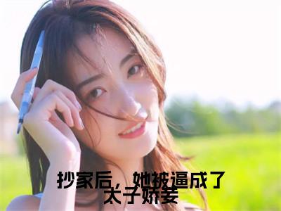 云楚洛（抄家后，她被逼成了太子娇妾）全文免费阅读无弹窗大结局_（云楚洛）抄家后，她被逼成了太子娇妾章节列表