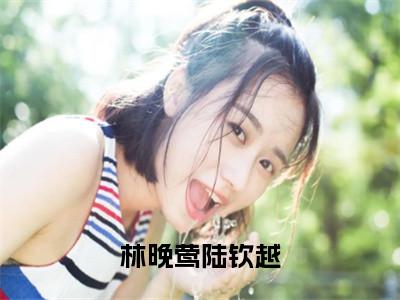 林晚莺陆钦越小说全文-陆钦越林晚莺无弹窗免费阅读