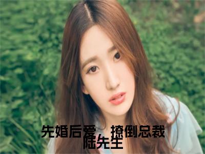 小说苏沐陆谨深全文阅读-先婚后爱，撩倒总裁陆先生小说苏沐陆谨深大结局