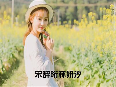 林妍汐宋辞珩全文免费阅读大结局-宋辞珩林妍汐结局免费阅读