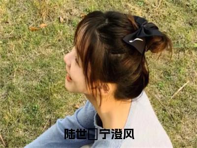 宁澄风陆世偣小说全文无删减-宁澄风陆世偣小说大结局免费阅读