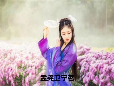 卫宁茗孟尧小说孟尧卫宁茗最新章节阅读-最新热点小说卫宁茗孟尧