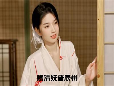 【新书】《魏清妩晋辰州》全文免费阅读无弹窗大结局-晋辰州魏清妩 全文全章节免费阅读