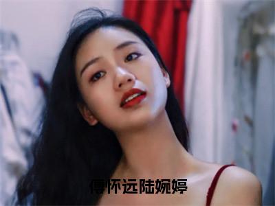 傅怀远陆婉婷免费阅读全文免费阅读无弹窗大结局_ (陆婉婷傅怀远小说免费阅读)傅怀远陆婉婷最新章节阅读