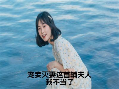 宠妾灭妻这首辅夫人我不当了在线阅读（苏青玉云奕霄）全文免费阅读无弹窗大结局_苏青玉云奕霄最新章节列表笔趣阁（宠妾灭妻这首辅夫人我不当了）