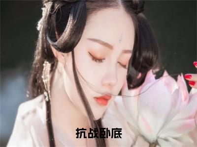 抗战卧底(秦天)抖音热推小说全集无删减_(秦天免费阅读全文大结局)最新章节列表_笔趣阁