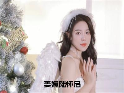 陆怀启姜婉（姜婉陆怀启）全文免费阅读无弹窗大结局_陆怀启姜婉最新章节列表_笔趣阁