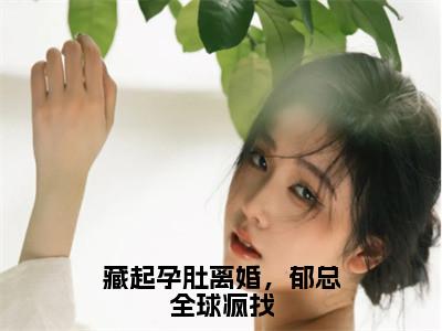 藏起孕肚离婚，郁总全球疯找小说全文（颜惜郁司霆）全文免费阅读无弹窗大结局-（颜惜郁司霆）无弹窗免费阅读大结局