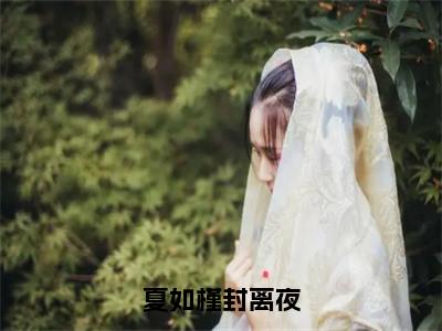 （封离夜夏如槿）夏如槿封离夜全文免费阅读无弹窗大结局_夏如槿封离夜全文免费完结版阅读（封离夜夏如槿）