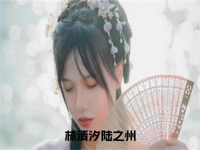 林清汐陆之州（陆之州林清汐）最火婚恋小说-（陆之州林清汐）全文免费阅读笔趣阁