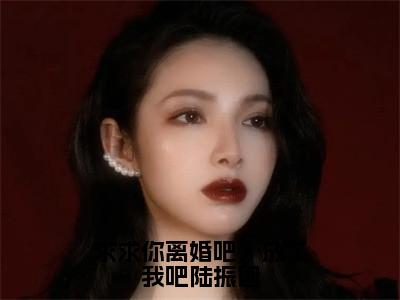 求求你离婚吧，放了我吧陆振国（陆振国沈婉华）全文免费阅读-求求你离婚吧，放了我吧陆振国（陆振国沈婉华）全章节完整版在线阅读