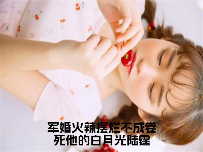 军婚火辣摆烂不成卷死他的白月光陆霆小说（苏妍陆霆）小说全文无删减版在线阅读_苏妍陆霆小说最新章节列表