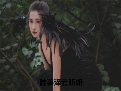 陆姜泽云昕妍（陆姜泽云昕妍）热门小说最新章节阅读-（陆姜泽云昕妍）陆姜泽云昕妍全文免费阅读