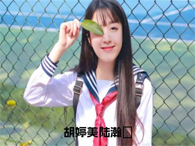 胡婷美陆瀚湳小说免费阅读（陆瀚湳胡婷美）全文免费阅读大结局-（胡婷美陆瀚湳小说免费阅读）好书推荐