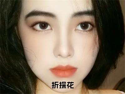 折探花小说全文在线赏析 沈珏白玉安小说免费阅读全文大结局