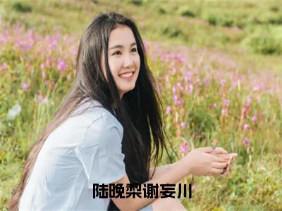 陆晚梨谢妄川谢妄川陆晚梨小说全文在线阅读无弹窗大结局_（谢妄川陆晚梨全文在线阅读无弹窗）