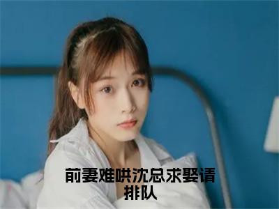 前妻难哄沈总求娶请排队小说全文-前妻难哄沈总求娶请排队（沈熠任嘉嘉）最新章节免费阅读