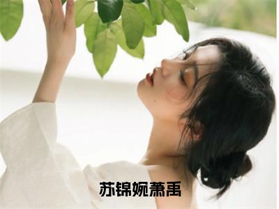 苏锦婉萧禹小说最新试读_苏锦婉萧禹是(苏锦婉萧禹全文完整版免费阅读)_笔趣阁