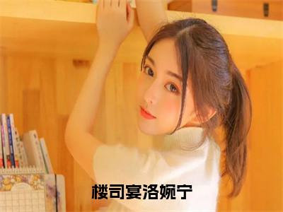 楼司宴洛婉宁小说主角叫什么洛婉宁楼司宴全文免费阅读大结局