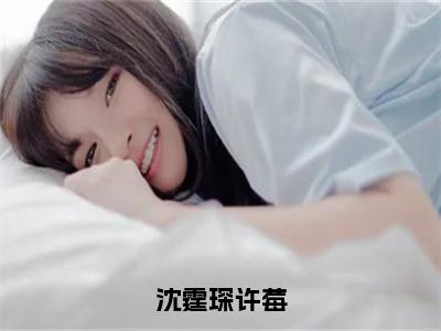 沈霆琛许莓无广告免费阅读-小说许莓沈霆琛最后结局如何