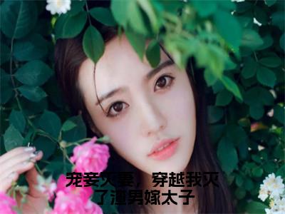 精选热门宠妾灭妻，穿越我灭了渣男嫁太子全文无删减版在线阅读