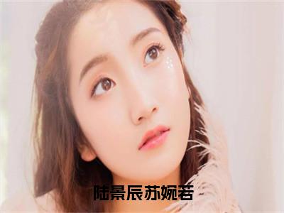 陆景辰苏婉若小说全文免费阅读无弹窗大结局_苏婉若陆景辰最新章节列表_笔趣阁