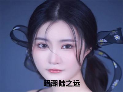 林婉如陆之远小说（暗潮陆之远）全文免费读无弹窗大结局_林婉如陆之远小说免费阅读-笔趣阁（暗潮陆之远）