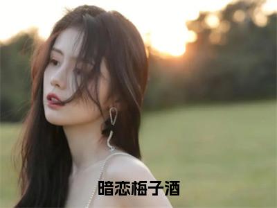 暗恋梅子酒无广告免费阅读-小说李殊宜最后结局如何