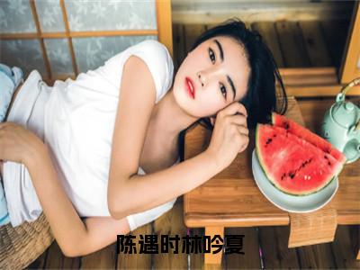 陈遇时林吟夏（陈遇时林吟夏）全文完整版免费阅读_陈遇时林吟夏陈遇时林吟夏全文免费阅读