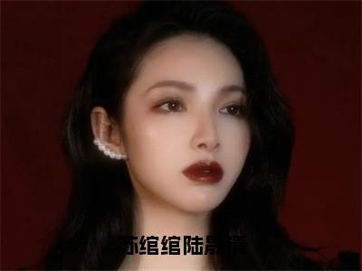 榜单小说苏绾绾陆晟清全文免费阅读无弹窗大结局-陆晟清苏绾绾全文在线阅读