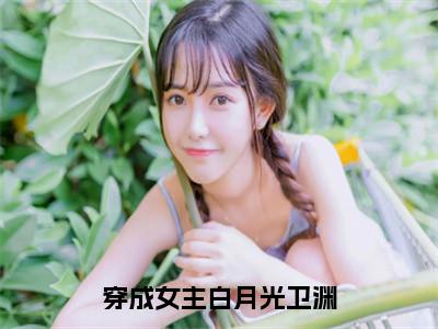 卫渊免费穿成女主白月光卫渊读无弹窗最新章节列表_笔趣阁（卫渊）