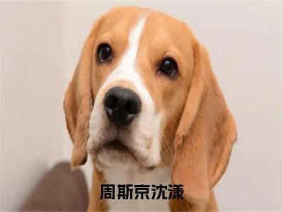 （沈漾周斯京）周斯京沈漾无弹窗免费阅读沈漾周斯京大结局无删阅读_笔趣阁