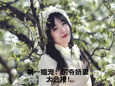 小说第一婚宠：厉爷娇妻太会撩！全文免费阅读无弹窗大结局_（温宁厉北琛）全文在线阅读