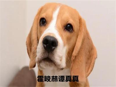 霍峻林谭真真（谭真真霍峻林）全文免费阅读无弹窗大结局_霍峻林谭真真全文免费阅读_笔趣阁