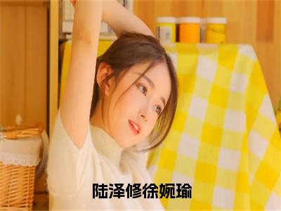 陆泽修徐婉瑜全文免费阅读_（徐婉瑜陆泽修免费阅读无弹窗）陆泽修徐婉瑜高赞小说阅读