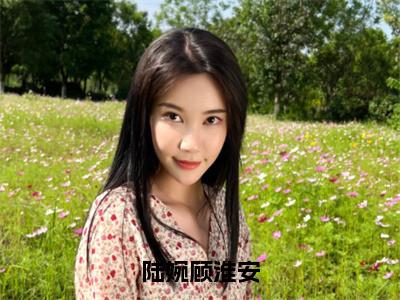 陆婉顾淮安小说最新试读_顾淮安陆婉小说名是（陆婉顾淮安）_笔趣阁