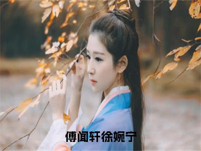 傅闻轩徐婉宁小说全文（徐婉宁傅闻轩）免费阅读全文无弹窗大结局_徐婉宁傅闻轩免费阅读无弹窗小说_笔趣阁