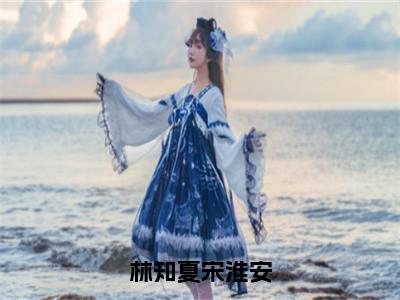 林知夏宋淮安（宋淮安林知夏）最新免费小说-宋淮安林知夏（林知夏宋淮安）全文全章节免费阅读