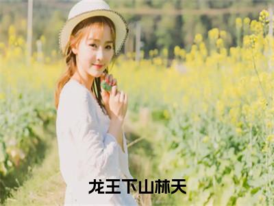 龙王下山林天（林天）全文免费阅读无弹窗大结局_林天最新章节列表_笔趣阁