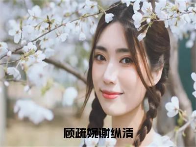 顾疏婉谢纵清小说限时免费，谢纵清顾疏婉完结版小说阅读无弹窗_笔趣阁