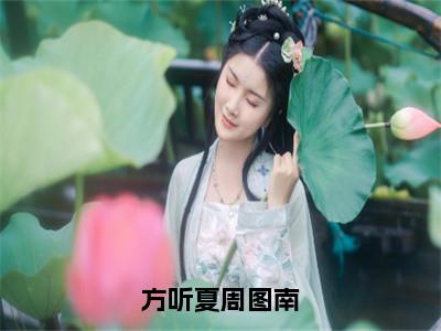 方听夏周图南的小说主角（方听夏周图南）免费阅读_方听夏周图南热搜小说完结版阅读