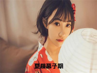 夏藤慕子期是什么小说-（夏藤慕子期全文阅读）最新章节列表