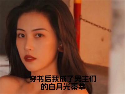 秦莘小说（穿书后我成了男主们的白月光秦莘）全文免费阅读无弹窗大结局_秦莘小说最新章节列表_笔趣阁